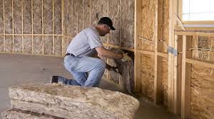 Professional Insulation Removal & Installation in Ruhenstroth, NV